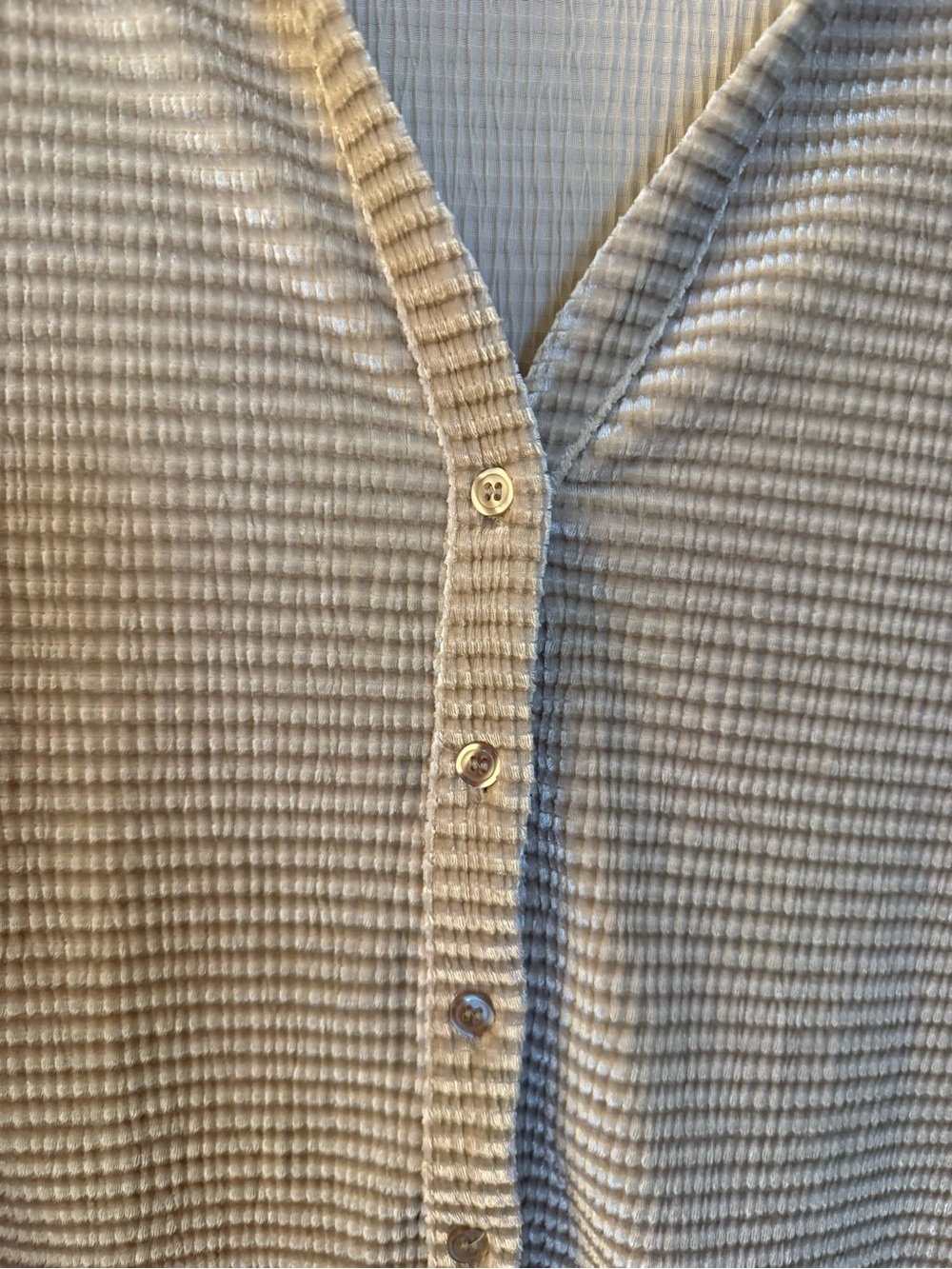 Sanctuary Cream Frosted Almond Textured Velvet Long-Sleeve Button-Front Shirt - Picture 7 of 9